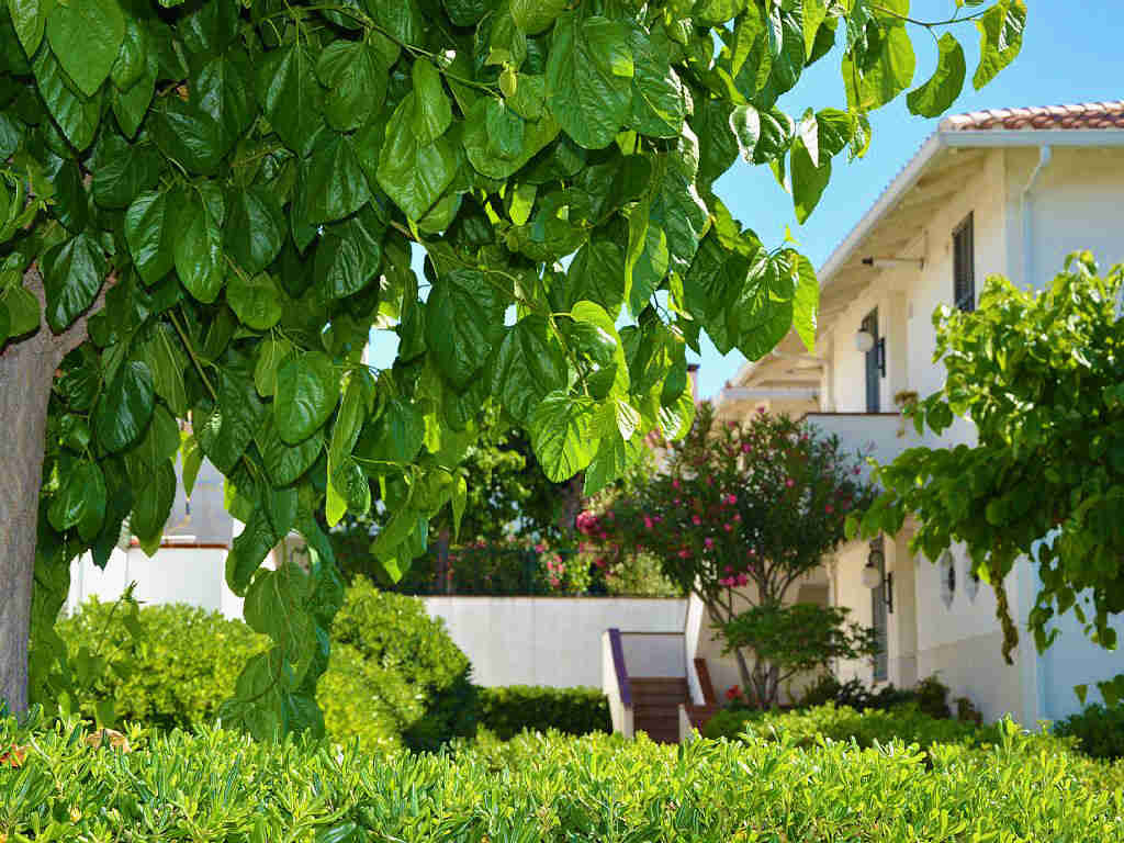 Appartement à louer à Sitges: accés au jardin